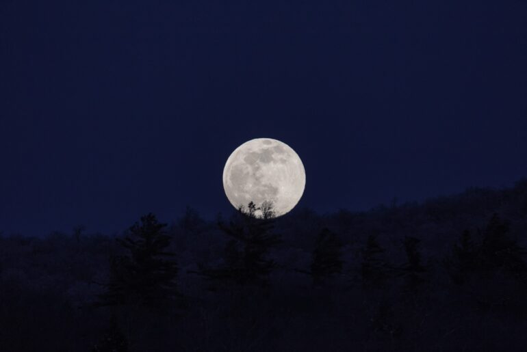 A full moon rising over a dark treeline